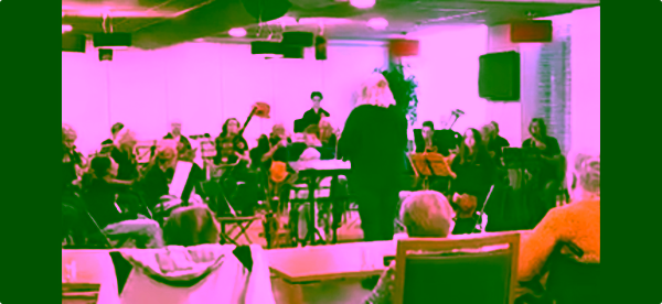 Concert Hofmaat